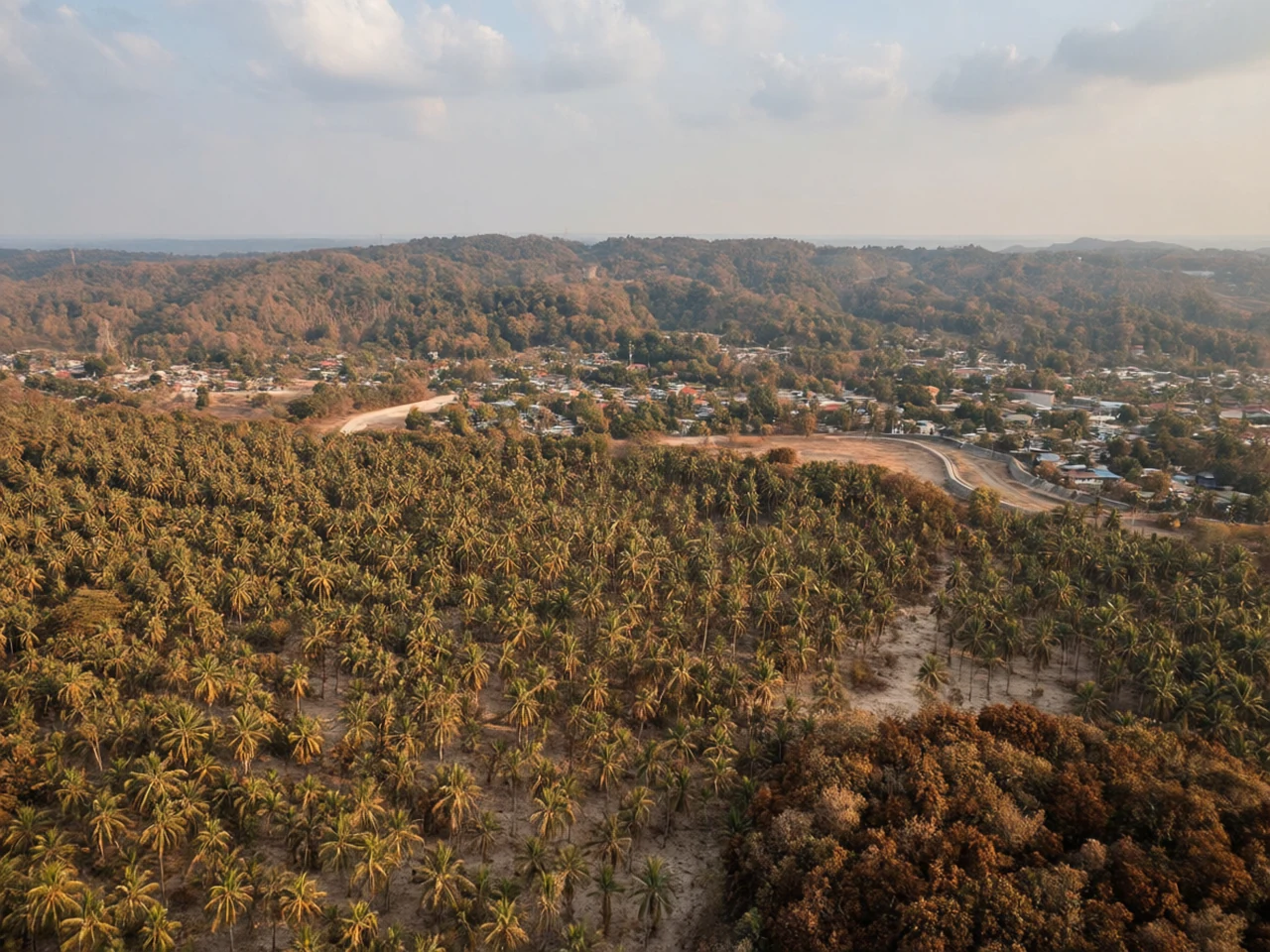 Tropical drought at Philippine tropical forest, generated by our world model