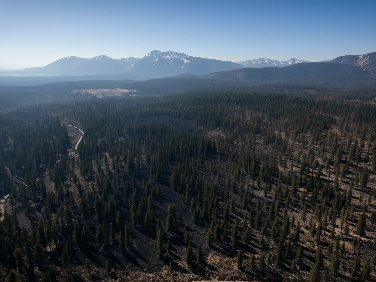 Smoke cleared after a prescribed burn at Inyo forest and smoke, generated by our world model