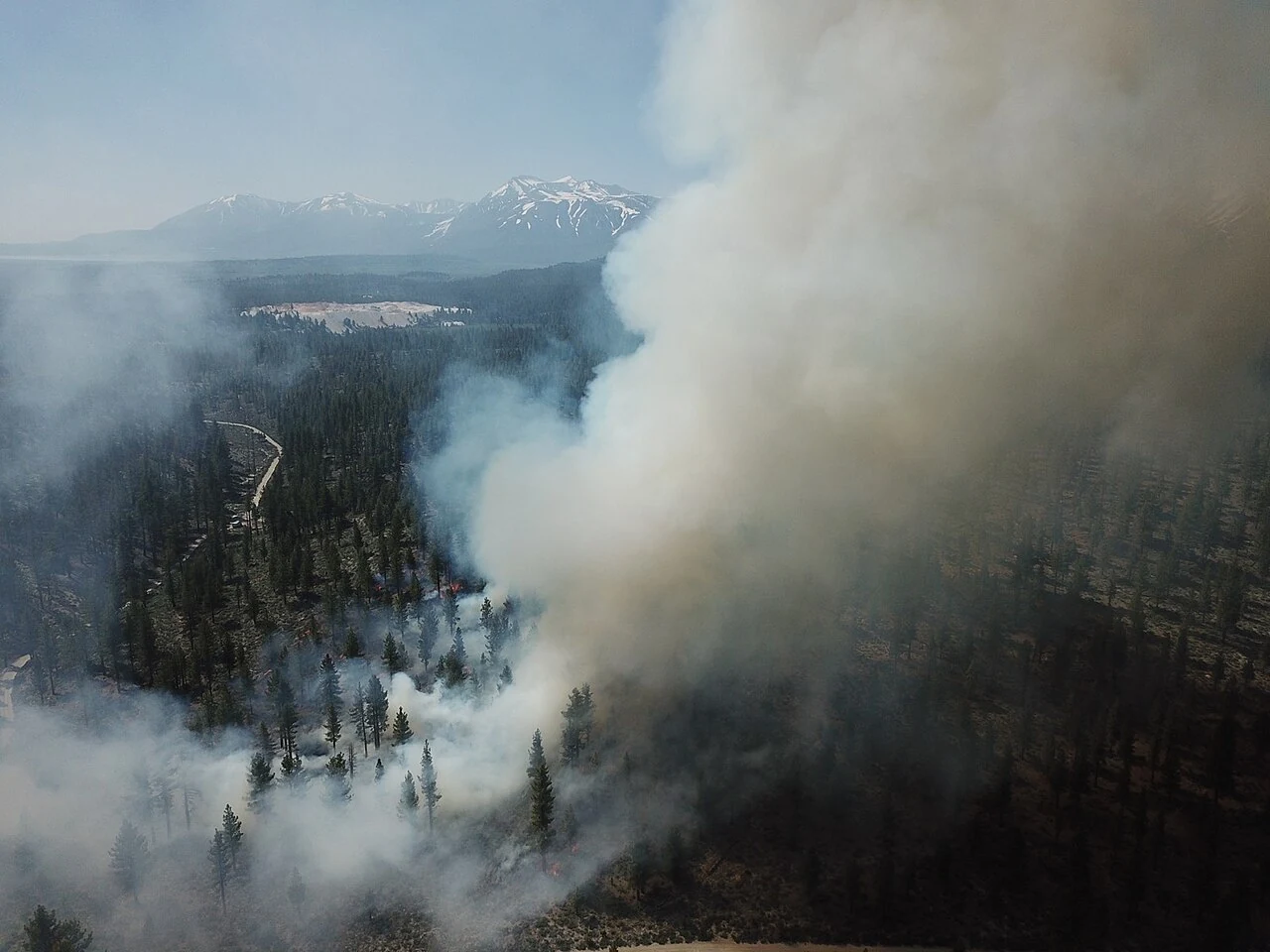 Inyo forest and smoke, original photograph