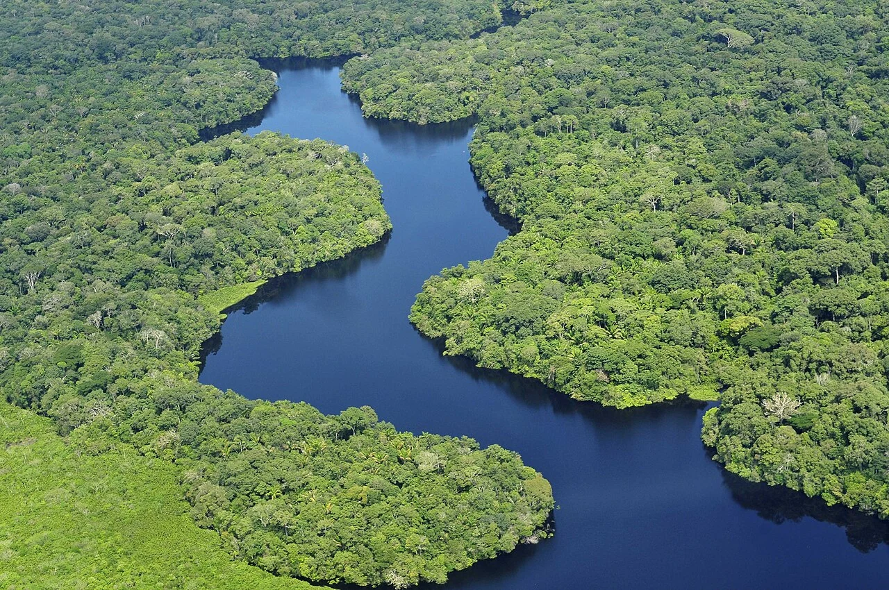Amazon river bends, original photograph