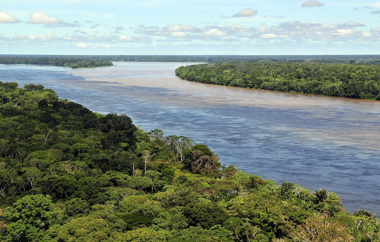 Amazon river islands, original photograph