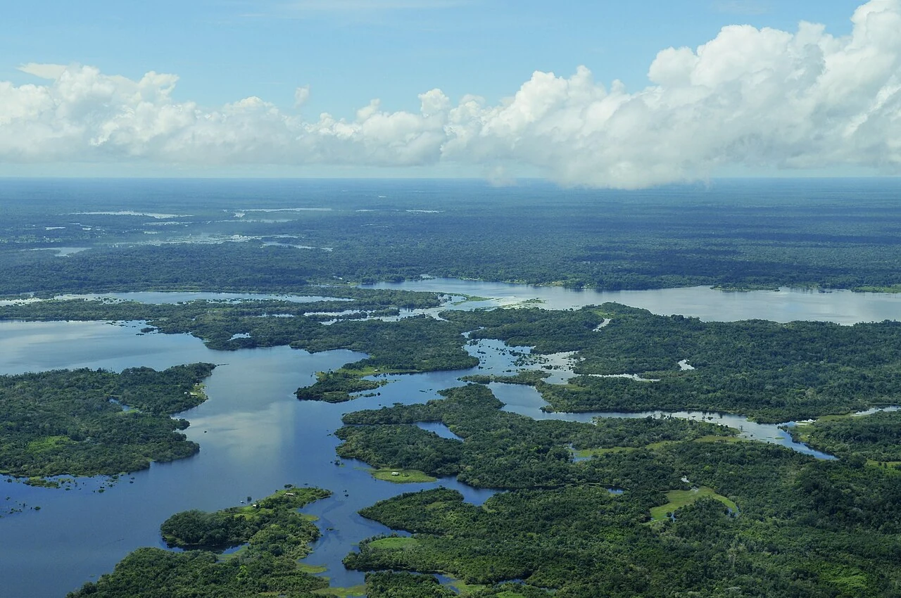 Amazon waterways, original photograph