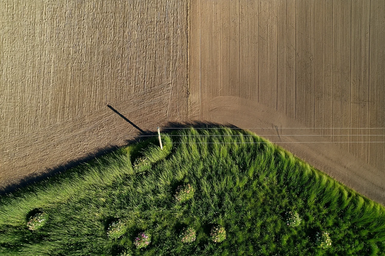Overgrown power corridor at Power line across fields, generated by our world model