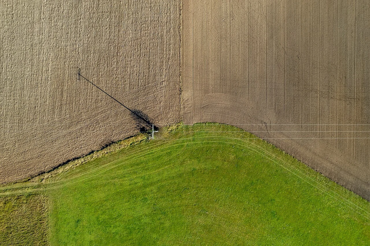 Power line across fields, original photograph
